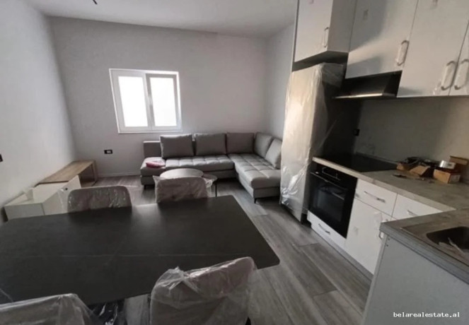 vile-me-qera-11-tek-kodra-e-priftit-id-bv22680-tirane-big-0