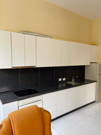 apartament-11-me-qera-tek-kopshti-zooligjik-id-b210557-tirane-big-1