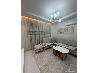 Apartament Me Qera 1+1 tek Bulevardi i Ri (ID B2101778) Tirane.,.,.,