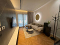 apartament-me-qera-11-tek-kompleksi-delijorgji-id-b2101884-tirane-small-0