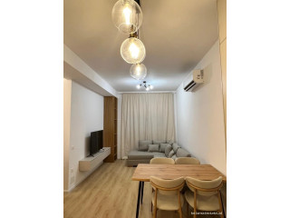 Apartament Me Qera 2+1 Tek Ali Demi (ID B2202073) Tirane