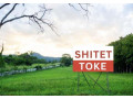 okazion-shitet-toke-are-ne-farke-te-vogel-id-bt50-tirane-small-0