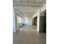 zyre-me-qera-tek-selvia-id-bz21041-tirane-small-0