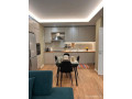 apartament-me-qera-11-tek-rruga-e-elbasanit-id-b2101796-tirane-small-1