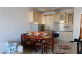 apartament-11-me-qera-tek-ish-parku-id-b210564-tirane-small-0