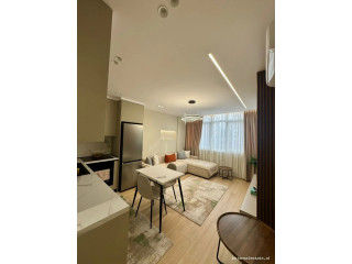 Apartament Me Qera 1+1 Tek Brryli (ID B2101899) Tirane