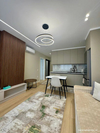 apartament-me-qera-11-tek-brryli-id-b2101899-tirane-big-1