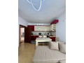 apartamet-me-qera-21-ne-ali-dem-id-b2202096-tirane-small-1