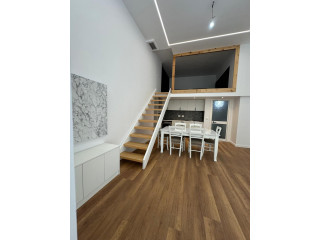 Apartament Me Qera 1+1 Ne Institut (ID B2101926) Tirane