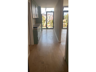 Zyre Me Qera 2+1 Tek Lake View Residence (ID BZ2105321) Tirane