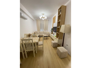 Apartament Me Qera 1+1 Tek Ali Demi (ID B2101927) Tirane