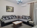 apartament-me-qera-11-tek-rruga-e-elbasanit-id-b211495-tirane-small-1
