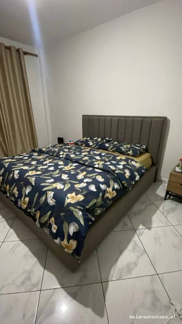 apartament-me-qera-11-tek-rruga-e-elbasanit-id-b211495-tirane-big-3
