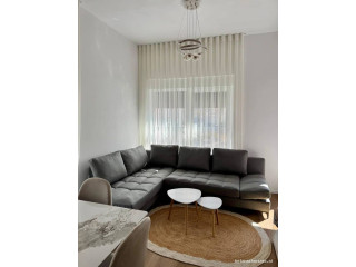 Apartament Me Qera 1+1 Tek Ali Demi (ID B2101929) Tirane