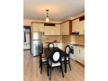 apartament-me-qera-11-tek-tregu-elektrik-id-b2101912-tirane-small-1