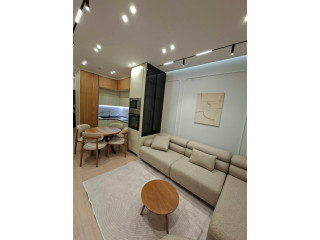 Apartament Me Qera 1+1 Tek Bulevardi I Ri (ID B2101939) Tirane