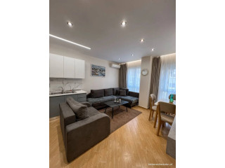 Apartament Me Qera 1+1 Ne 5 Maj (ID B2101940) Tirane