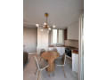apartament-me-qera-11-tek-river-residence-astir-id-b2101120-tirane-small-3