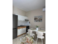 vile-me-qera-11-tek-rruga-e-elbasanit-id-bv22718-tirane-small-2