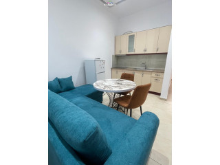Apartament me qera 1+1 tek Vilat Gjermane (ID B210843) Tirane.,.,.,.,.