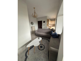 Apartament Me Qera 1+1 Tek Ish Dogana (B2101943) Tirane