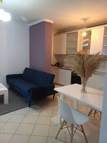 apartament-me-qera-11-tek-shkolla-e-baletit-id-b211500-tirane-big-0