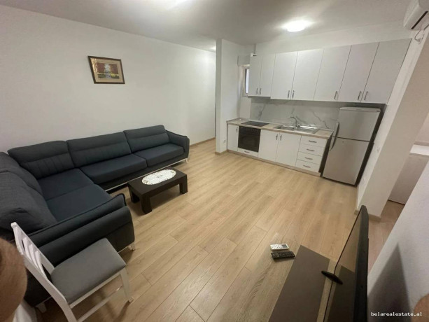 apartament-me-qera-11-ne-kinostudio-id-b2101946-tirane-big-0