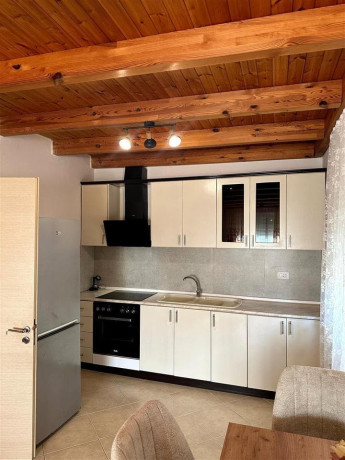 apartament-dupleks-me-qera-21-ne-fresk-id-b2201449-tirane-big-1