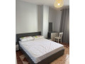 apartament-me-qera-11-tek-rruga-e-elbasanit-id-b2101947-tirane-small-3