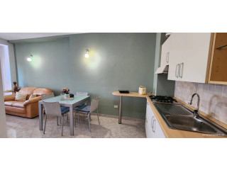 Apartament me Qera 1+1 Tek Pazari i Ri (B2101950) Tirane