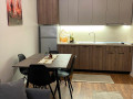 apartament-me-qera-11-ne-bllok-id-b211505-tirane-small-1