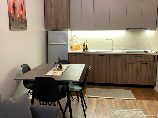 apartament-me-qera-11-ne-bllok-id-b211505-tirane-big-1