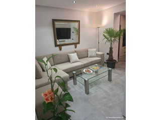 Apartament Me Qera 1+1 Tek Komuna E Parisit (ID B2101959) Tirane