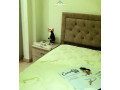 apartament-me-qera-11-tek-dritan-hoxha-id-b211156-tirane-small-3