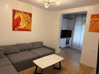 Vile 1-Kateshe Me Qera Tek Dritan Hoxha (ID BV22728) Tirane,,