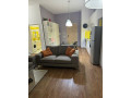 apartament-21-me-qera-ne-vasil-shanto-id-b220703-tirane-small-0