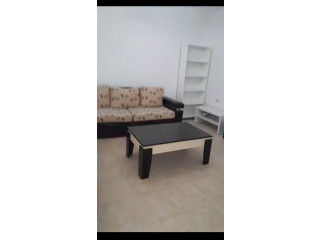 Apartament Per Qera 1+1 Prane Ish Tregut Elektrik (ID B211215) Tirane