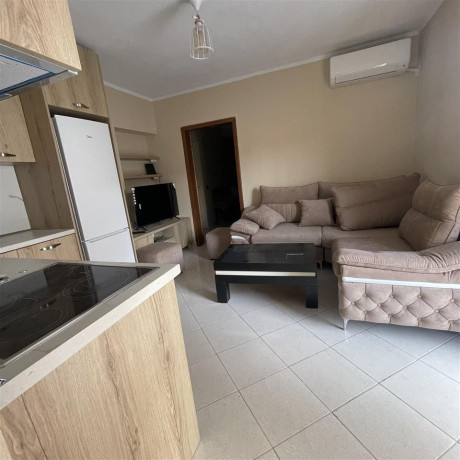 jepet-me-qera-kati-i-pare-vile-11-ne-selite-id-bv22175-tirane-big-0