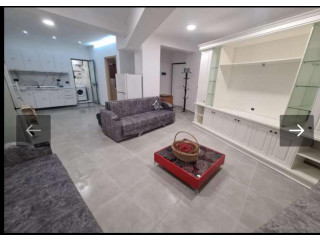 Jepet Me Qera Apartament 1+1 Ne Fresk (ID B210575) Tirane