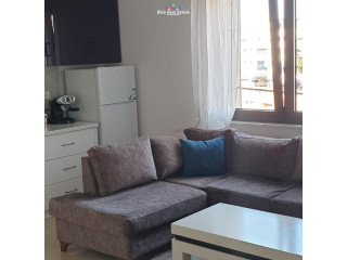 Apartament Me Qera 1+1 Tek Bulevardi Zogu I Pare (ID B210381) Tirane