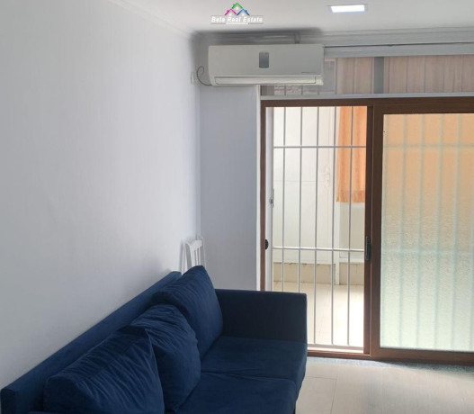 apartament-21-me-qera-ne-allias-id-b221138-tirane-big-0