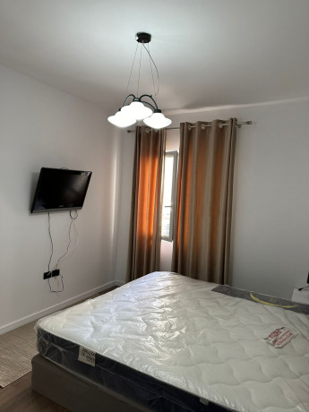 apartament-me-qera-11-tek-liqeni-i-thate-id-b210604-tirane-big-3