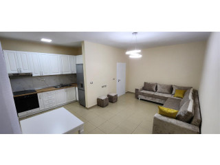 Apartament Me Qera 1+1 Rruga E Dibres (ID B210609) Tirane.