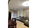 apartament-me-qera-31-tek-brryli-id-b2389-tirane-small-0