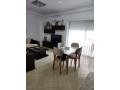 apartament-me-qera-11-ne-fresk-id-b210621-tirane-small-1