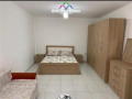 apartament-me-qera-11-tek-rruga-e-durresit-id-b210623-tirane-small-2