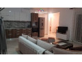 apartament-me-qera-21-ne-fresk-id-b220644-tirane-small-0