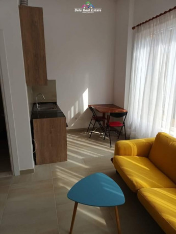 garsionere-me-qera-tek-rruga-e-dibres-id-bg82-tirane-big-2