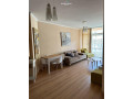 apartament-me-qera-11-ne-astir-id-b210644-tirane-small-0