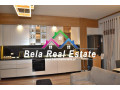 apartament-me-qera-21-tek-rruga-dritan-hoxha-id-b220129-tirane-small-1